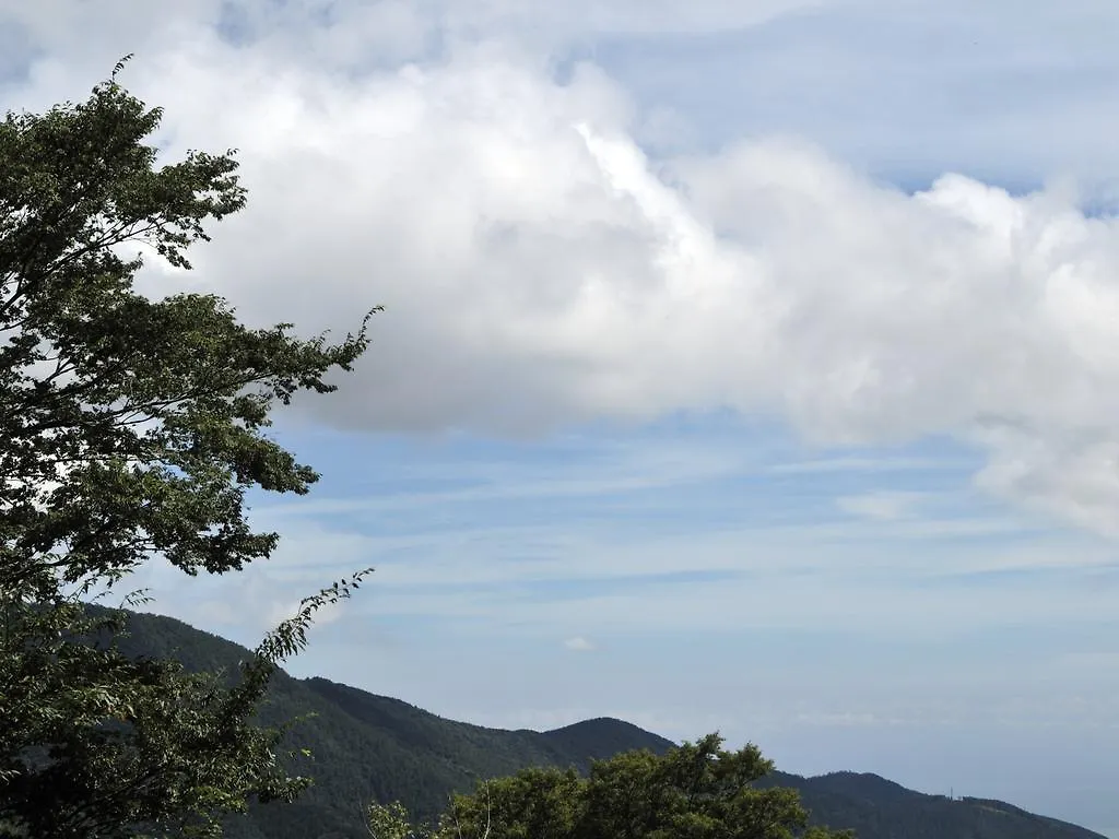 Gora Hanaougi Hakone Ryokan
