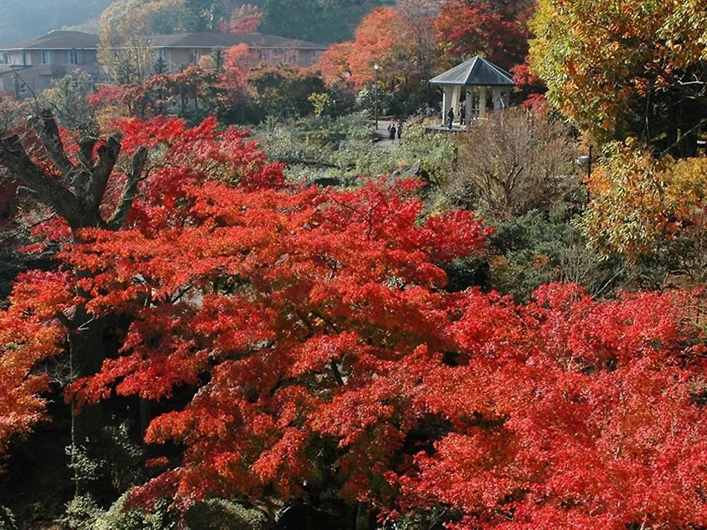 Gora Hanaougi Hakone Ryokan