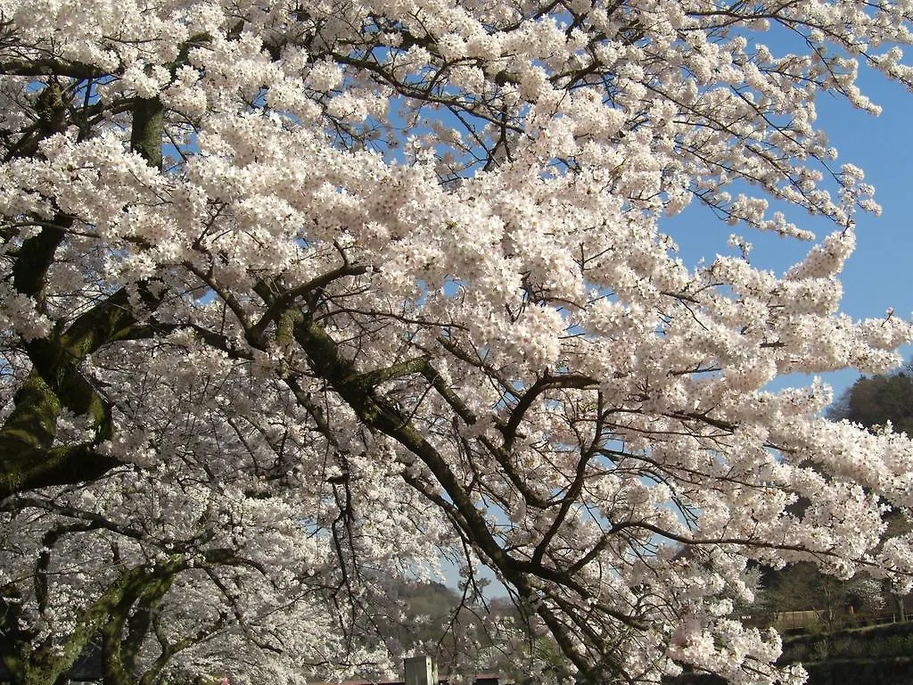 ***** 旅館 ホテル 強羅　花扇 箱根町 日本